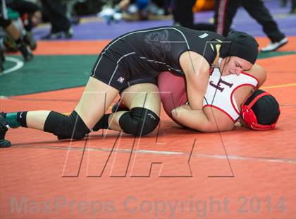 Thumbnail 1 in UIL State Girls Wrestling Championships (Finals) photogallery.