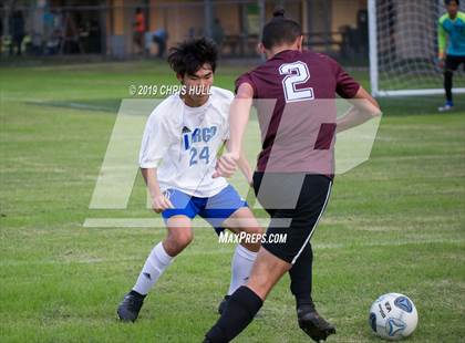 Thumbnail 1 in Wiregrass Ranch @ Largo (Lakewood classic) photogallery.