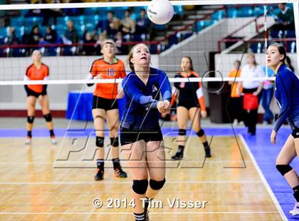 Thumbnail 1 in Lewis-Palmer vs. Air Academy (CHSAA State 4A Playoff) photogallery.