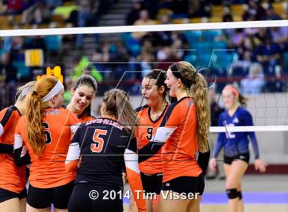 Thumbnail 2 in Lewis-Palmer vs. Air Academy (CHSAA State 4A Playoff) photogallery.