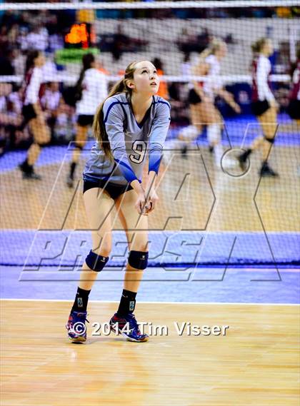 Thumbnail 3 in Lewis-Palmer vs. Air Academy (CHSAA State 4A Playoff) photogallery.