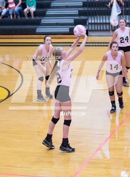 Thumbnail 2 in Soddy Daisy @ Hixson photogallery.