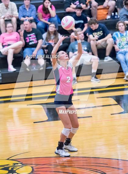 Thumbnail 2 in Soddy Daisy @ Hixson photogallery.