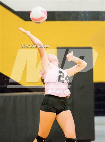 Thumbnail 3 in Soddy Daisy @ Hixson photogallery.