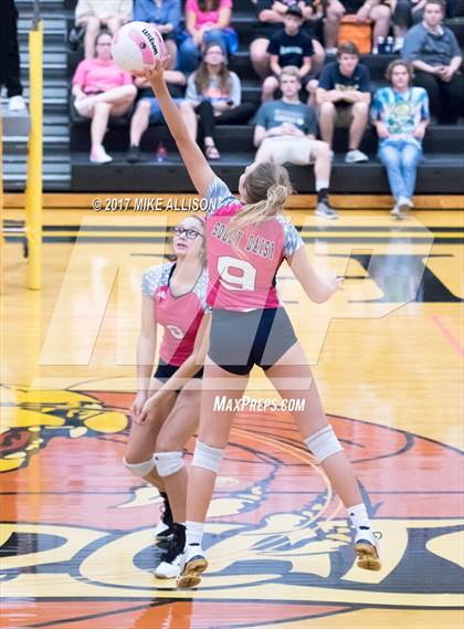 Thumbnail 1 in Soddy Daisy @ Hixson photogallery.