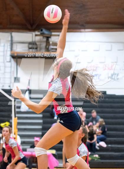Thumbnail 1 in Soddy Daisy @ Hixson photogallery.