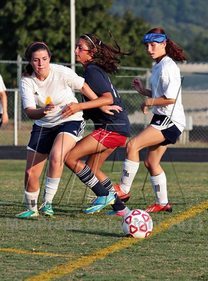 Thumbnail 1 in South-Doyle @ Seymour photogallery.