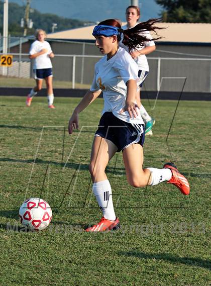 Thumbnail 2 in South-Doyle @ Seymour photogallery.
