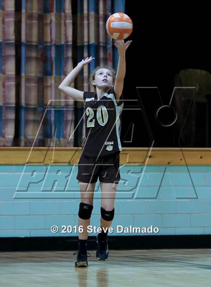 Thumbnail 3 in Vandebilt Catholic @ Mt. Carmel photogallery.