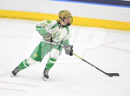 Thumbnail 2 in Fairfield Prep vs. Notre Dame, WH (CIAC DI Final) photogallery.