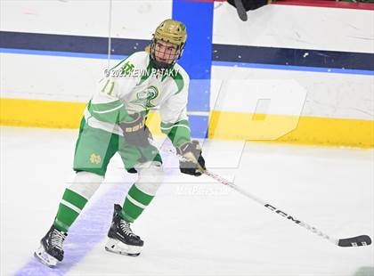 Thumbnail 3 in Fairfield Prep vs. Notre Dame, WH (CIAC DI Final) photogallery.