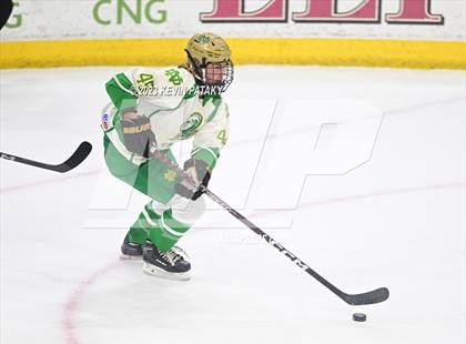 Thumbnail 2 in Fairfield Prep vs. Notre Dame, WH (CIAC DI Final) photogallery.