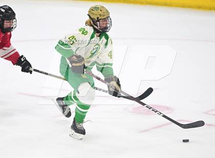Thumbnail 1 in Fairfield Prep vs. Notre Dame, WH (CIAC DI Final) photogallery.