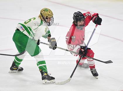 Thumbnail 3 in Fairfield Prep vs. Notre Dame, WH (CIAC DI Final) photogallery.