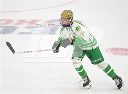 Thumbnail 1 in Fairfield Prep vs. Notre Dame, WH (CIAC DI Final) photogallery.