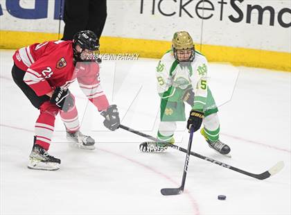 Thumbnail 2 in Fairfield Prep vs. Notre Dame, WH (CIAC DI Final) photogallery.
