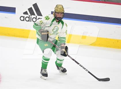 Thumbnail 3 in Fairfield Prep vs. Notre Dame, WH (CIAC DI Final) photogallery.