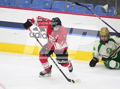 Thumbnail 1 in Fairfield Prep vs. Notre Dame, WH (CIAC DI Final) photogallery.