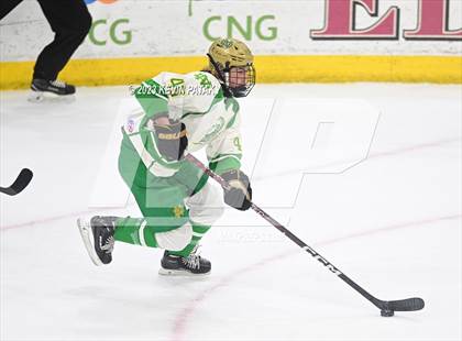 Thumbnail 3 in Fairfield Prep vs. Notre Dame, WH (CIAC DI Final) photogallery.