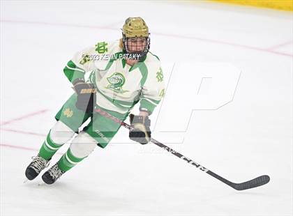 Thumbnail 1 in Fairfield Prep vs. Notre Dame, WH (CIAC DI Final) photogallery.