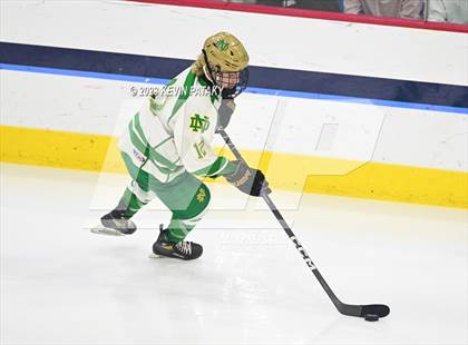 Thumbnail 1 in Fairfield Prep vs. Notre Dame, WH (CIAC DI Final) photogallery.