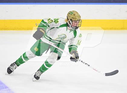 Thumbnail 1 in Fairfield Prep vs. Notre Dame, WH (CIAC DI Final) photogallery.