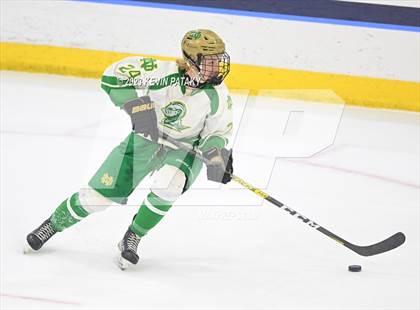 Thumbnail 3 in Fairfield Prep vs. Notre Dame, WH (CIAC DI Final) photogallery.
