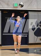 Photo from the gallery "St. Ignatius College Preparatory @ Marin Catholic"