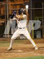 Photo from the gallery "Olympic Heights @ Boca Raton"