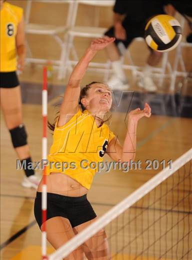 null - Photo 01