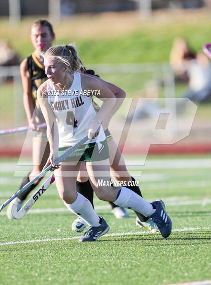 Thumbnail 3 in Arapahoe @ Smoky Hill photogallery.
