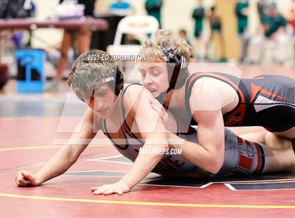 Thumbnail 2 in Trojan Duals photogallery.