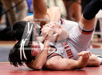 Thumbnail 1 in Trojan Duals photogallery.
