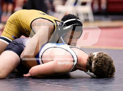 Thumbnail 1 in Trojan Duals photogallery.