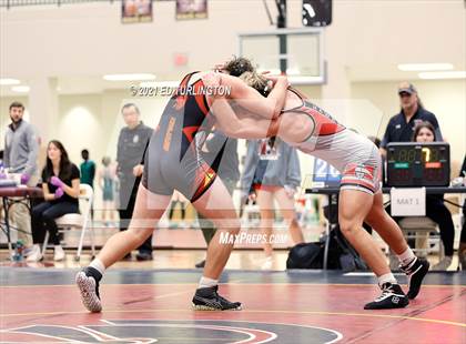 Thumbnail 2 in Trojan Duals photogallery.