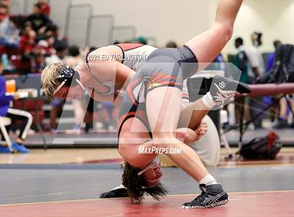 Thumbnail 2 in Trojan Duals photogallery.