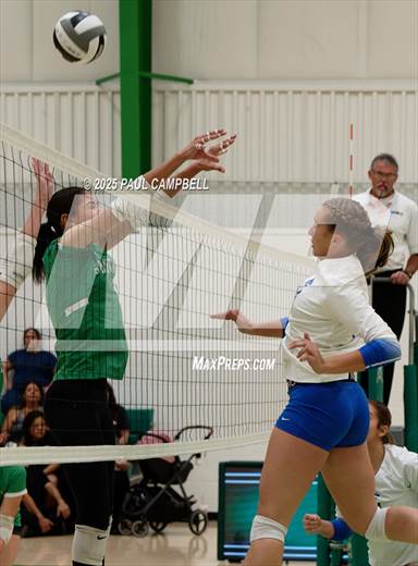 null - Photo 41