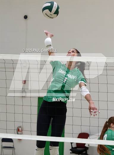 null - Photo 81
