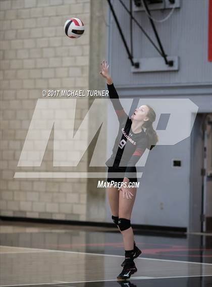 Thumbnail 2 in Chico @ Foothill photogallery.