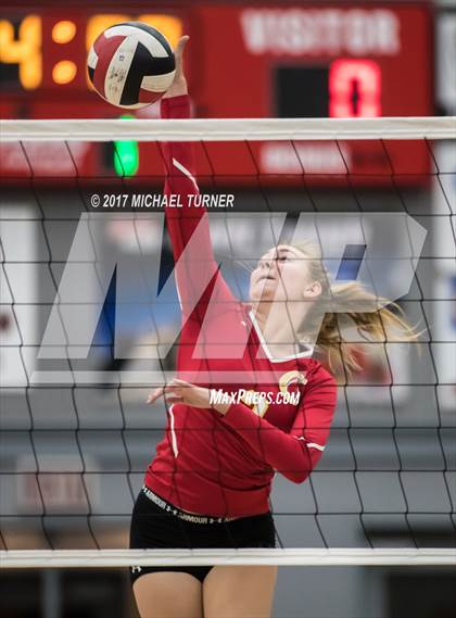 Thumbnail 1 in Chico @ Foothill photogallery.