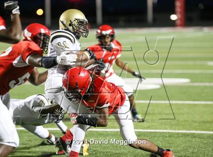 Thumbnail 3 in South Oak Cliff @ Cedar Hill photogallery.