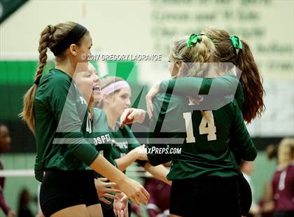 Thumbnail 2 in Prosper vs Red Oak  photogallery.