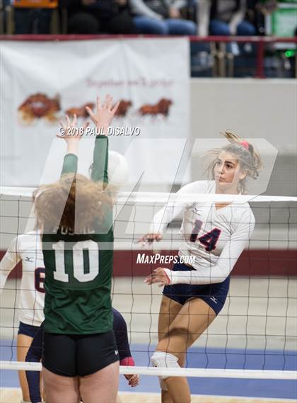 Thumbnail 1 in Chaparral vs. Fossil Ridge (CHSAA 5A 3rd Round) photogallery.