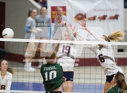 Thumbnail 3 in Chaparral vs. Fossil Ridge (CHSAA 5A 3rd Round) photogallery.