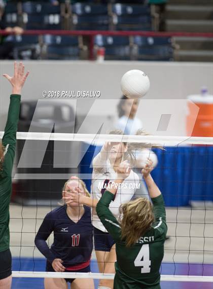Thumbnail 3 in Chaparral vs. Fossil Ridge (CHSAA 5A 3rd Round) photogallery.