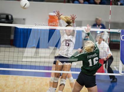 Thumbnail 2 in Chaparral vs. Fossil Ridge (CHSAA 5A 3rd Round) photogallery.