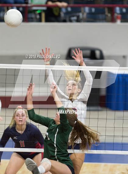 Thumbnail 3 in Chaparral vs. Fossil Ridge (CHSAA 5A 3rd Round) photogallery.