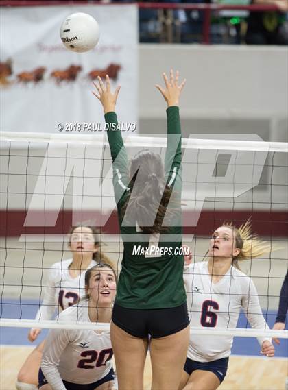 Thumbnail 3 in Chaparral vs. Fossil Ridge (CHSAA 5A 3rd Round) photogallery.