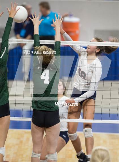 Thumbnail 2 in Chaparral vs. Fossil Ridge (CHSAA 5A 3rd Round) photogallery.