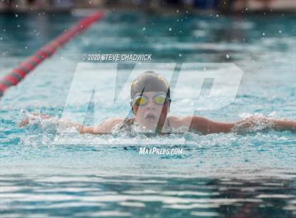Thumbnail 1 in AIA Qualifier (Butterfly, Back, Breast Stroke) photogallery.